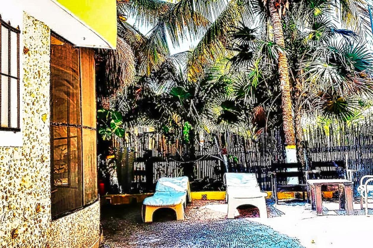 Antigua Lodge, 70 M From Sandy Beach エル・コージョ エクステリア 写真
